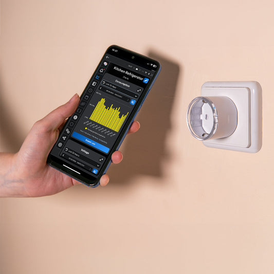 Shelly Plug S (Smart Adapter)