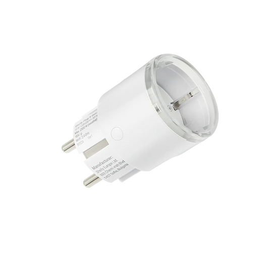 Shelly Plug S (Smart Adapter)